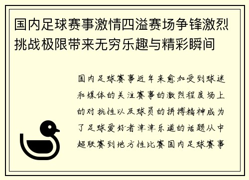 国内足球赛事激情四溢赛场争锋激烈挑战极限带来无穷乐趣与精彩瞬间