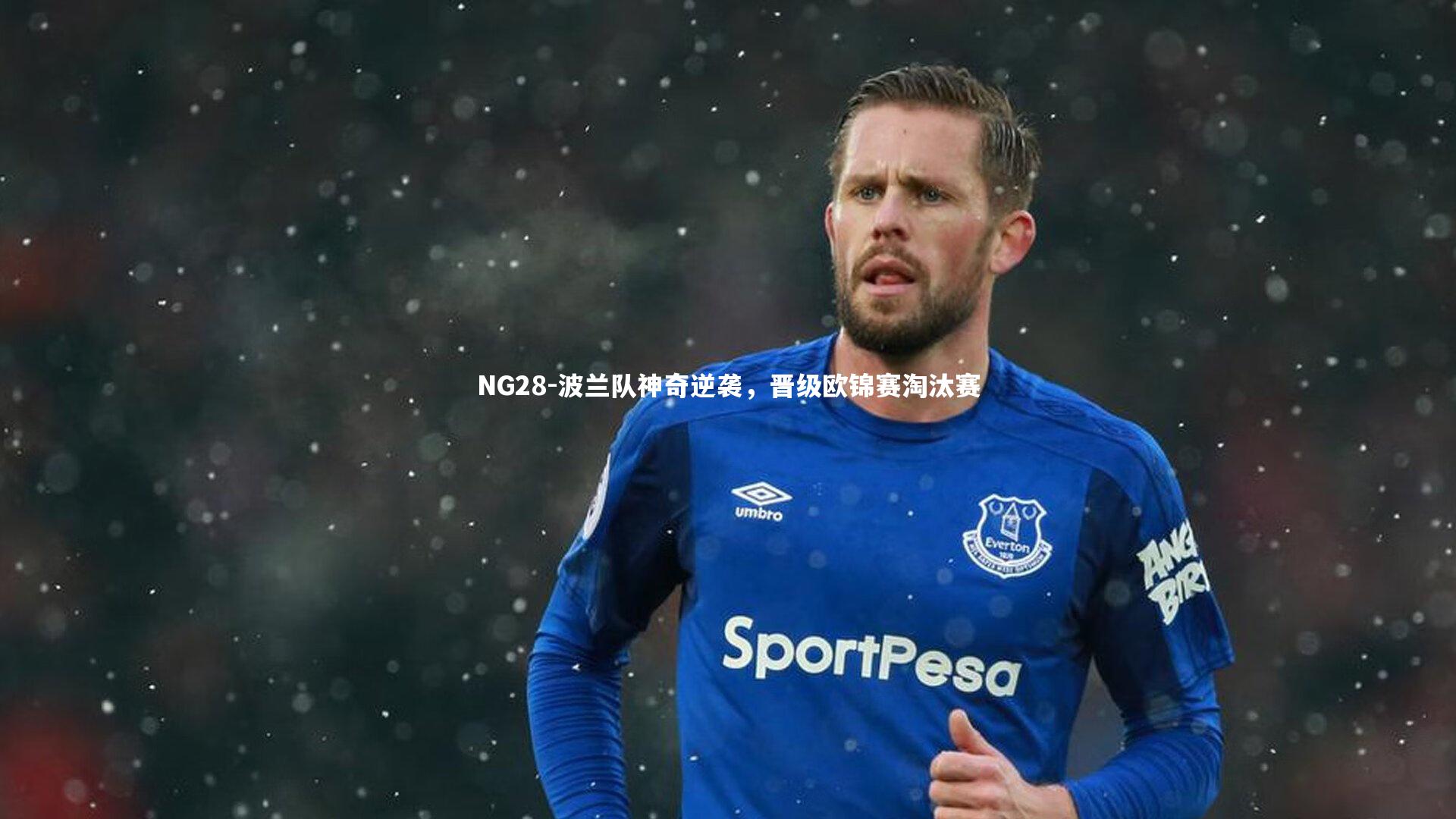 NG28-波兰队神奇逆袭，晋级欧锦赛淘汰赛