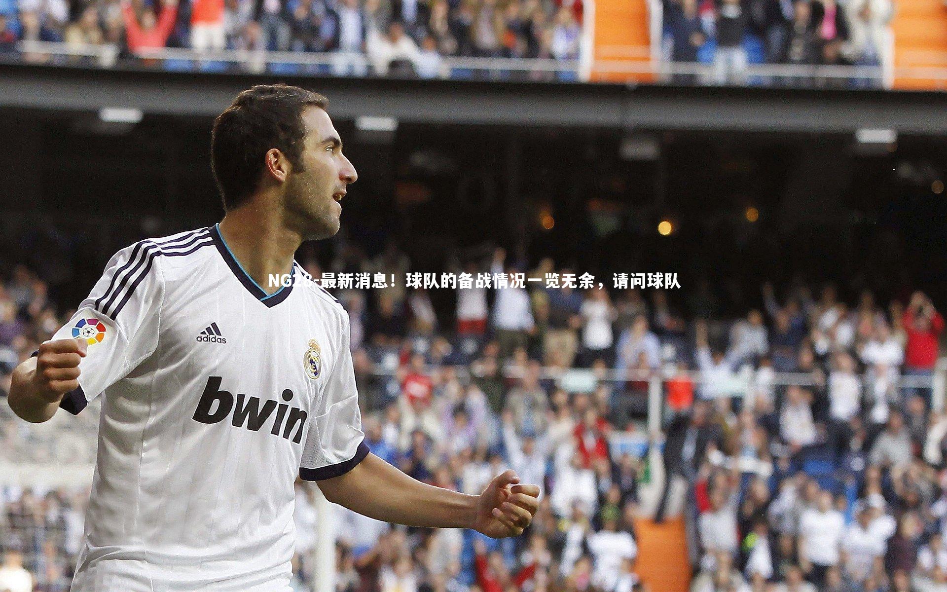 NG28-最新消息！球队的备战情况一览无余，请问球队